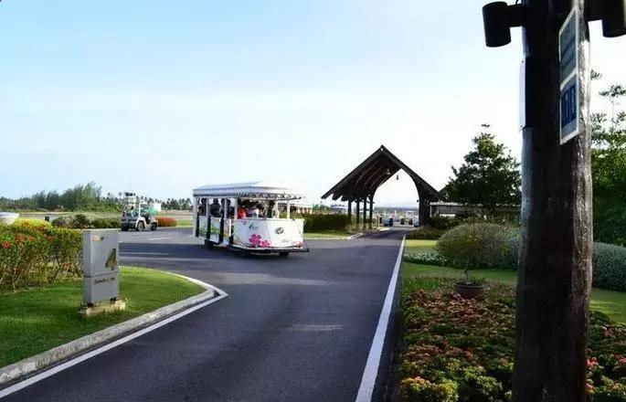 国际机场免税扫货攻略,购物攻略与技巧