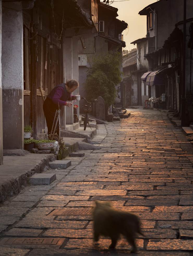 宁波慈溪鸣鹤古镇,浙江省慈溪市鸣鹤古镇