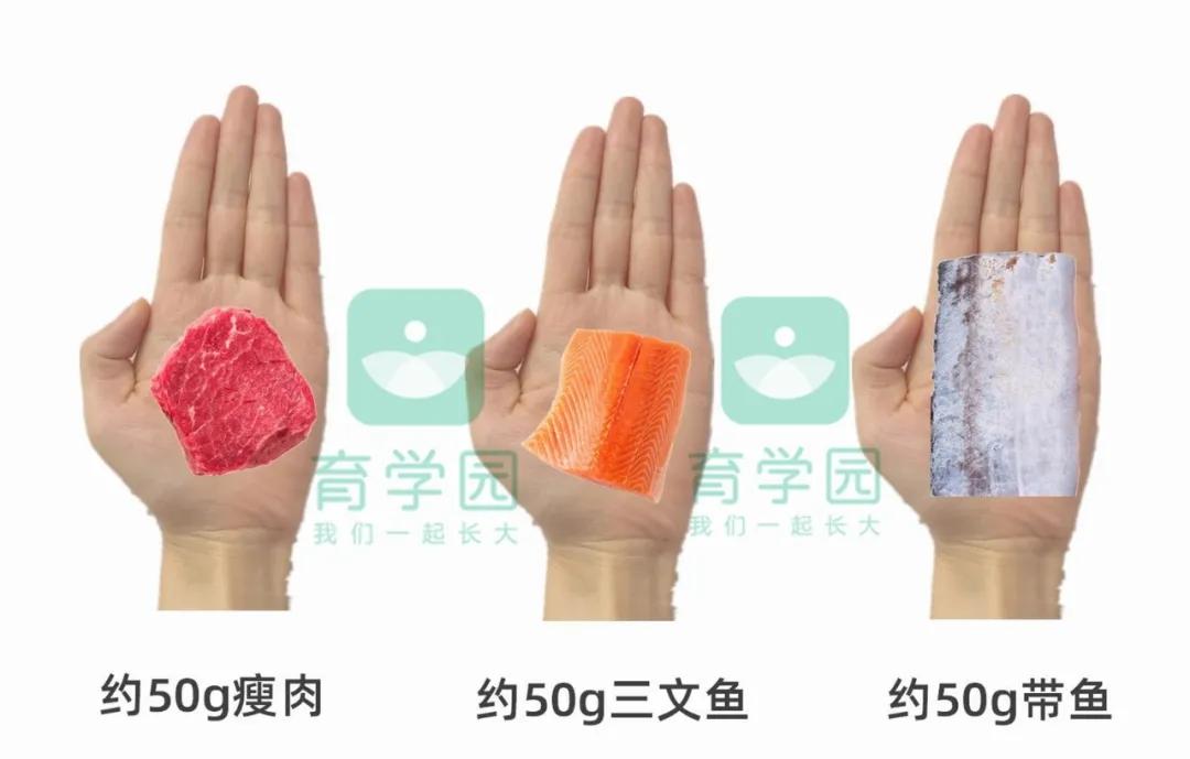 吃什么蔬菜孩子补锌补铁补钙,入秋要多吃这馅包子补铁