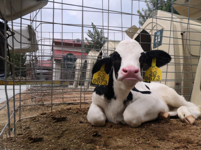 婢虫床浜轰拱涓浗濂剁矇,婢虫床浜轰笉涔扮殑濂剁矇