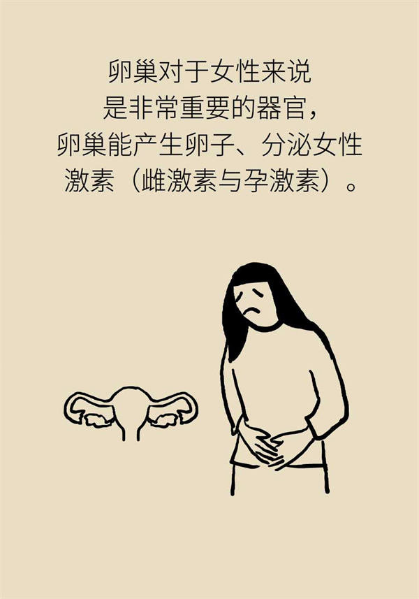 卵巢功能衰退怎么样保胎呢,卵巢功能衰退卵子质量不好怎么办