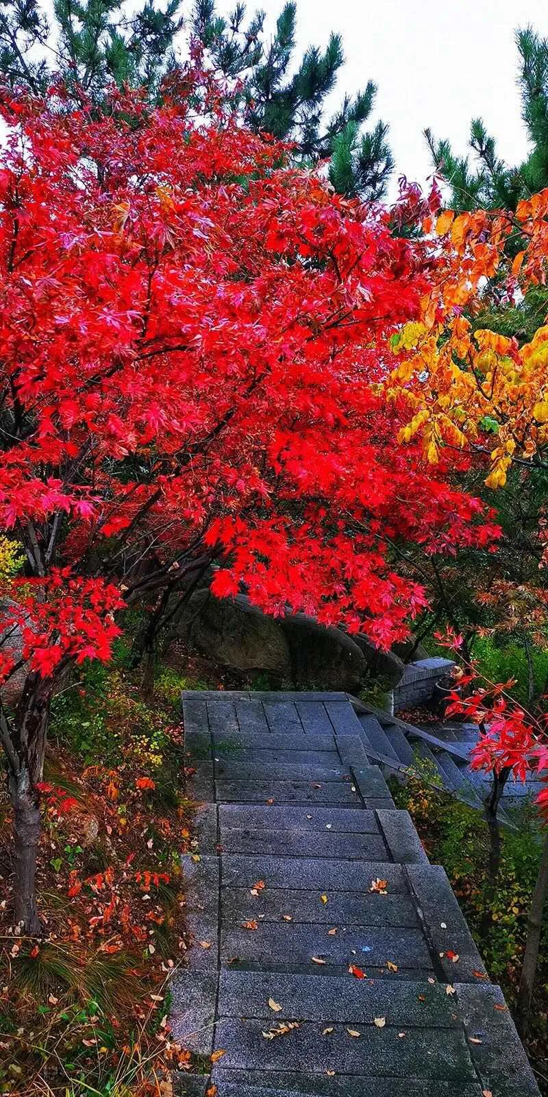 又一条最美自驾线路,又一条绝美进藏自驾公路