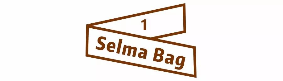 女生第一只轻奢包该买哪个牌子,第一只千元轻奢包怎么选