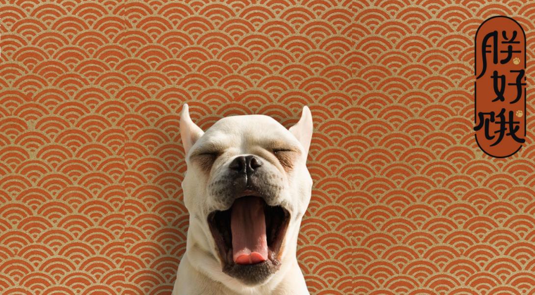 狗狗用哪个牌子的卵磷脂比较好,卵磷脂怎么吃能让狗狗毛发浓密