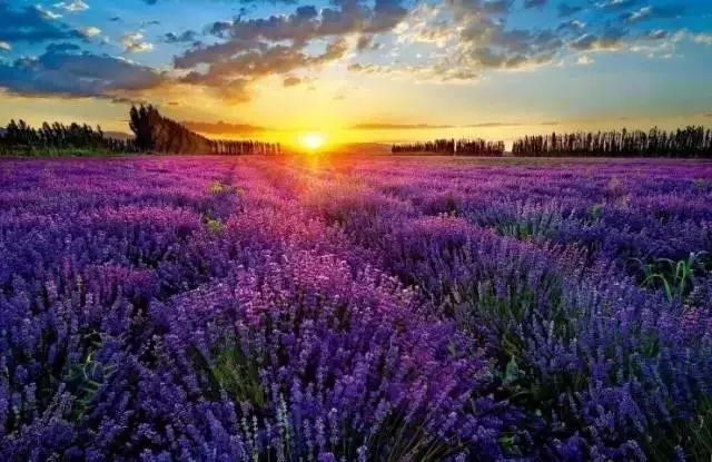 下半年旅行最佳时间表,2023最佳旅游时间表