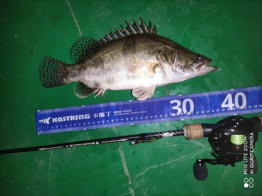 「渔获名人堂周榜」这两位粉丝钓友，你们太牛了