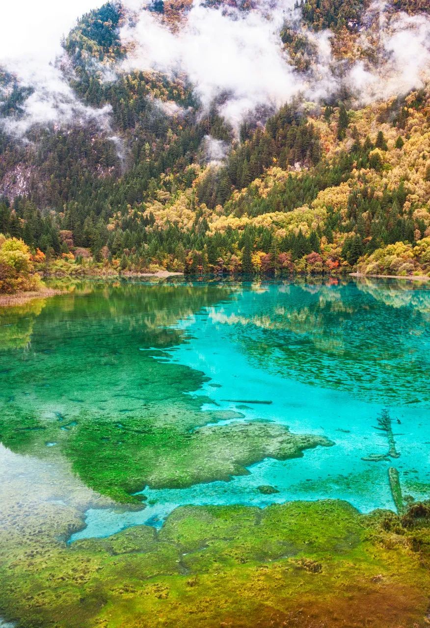 2017年九寨沟地震预兆,地震前的九寨沟人间仙境