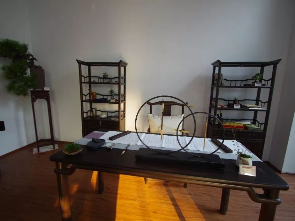 上海盆景博物馆:咫尺天地竟蕴含了整个植物宇宙