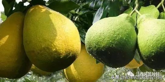 江西赣州一瓶老酒,江西100多一瓶的酒