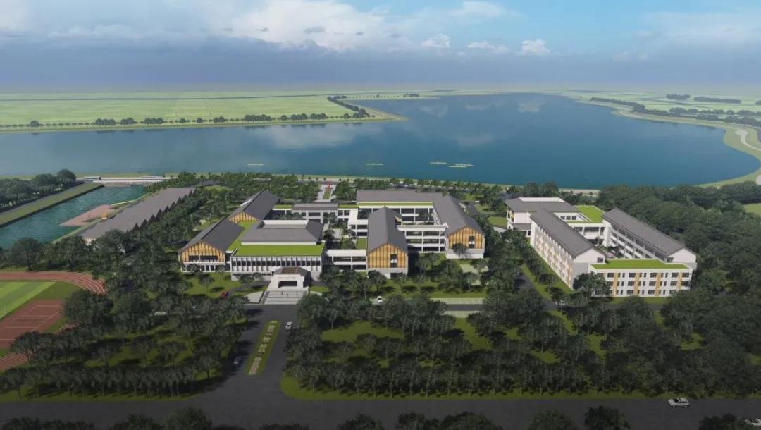 兴化水上基地,兴化水上森林项目