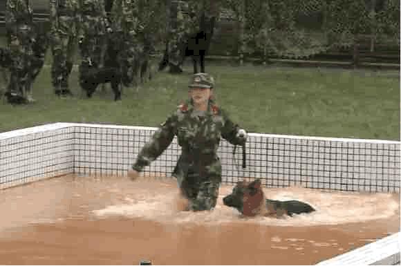 风水轮流转女明星,风水轮流转张馨予