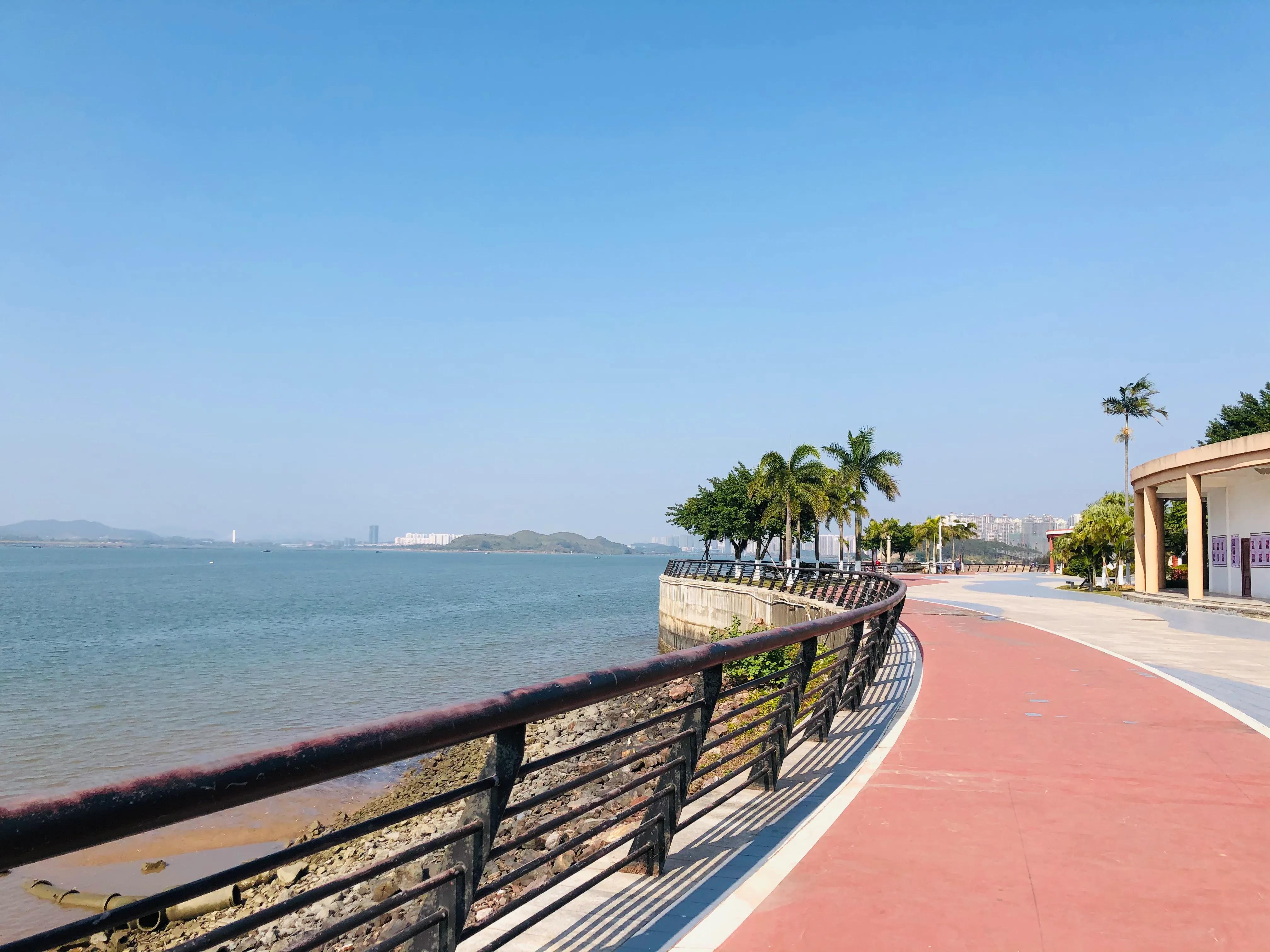 最快成为社会精英的方法,如何成为精英人士方法