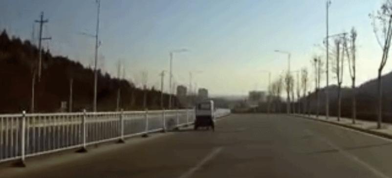 出门遇到这“街头流氓”,我劝你快逃