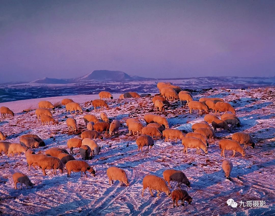 坝上草原天路美景,大美坝上风光系列之一