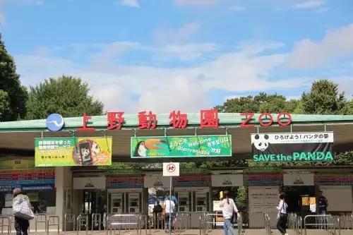 种草好物推荐遛娃神器,适合3岁宝宝的国外游