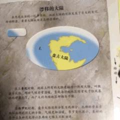 立体纸艺教程动物,纸艺技巧