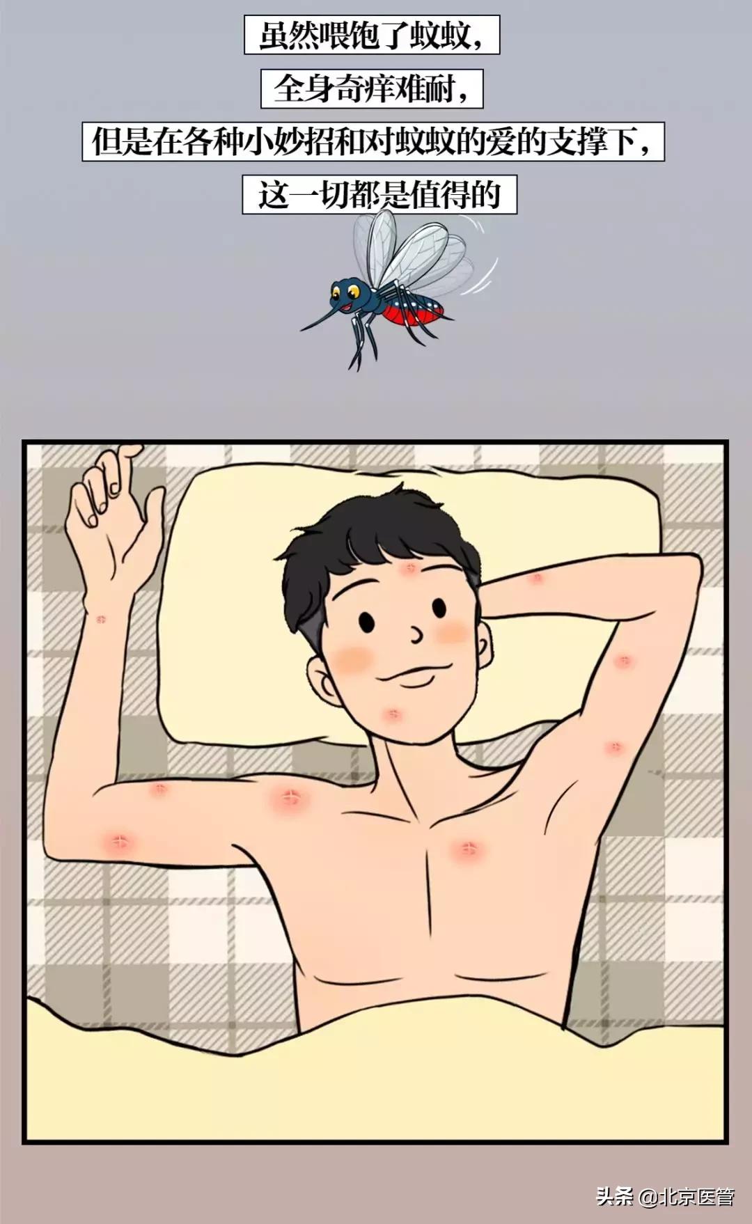 夏天蚊子太烦人教驱蚊的绝招,夏天怎么预防蚊子最有效