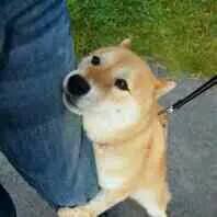 淘宝直通车新手要怎么开最新,淘宝直通车的基础知识