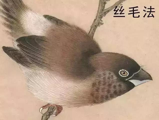 工笔画红叶染色技法,工笔画牡丹花头染色技法步骤