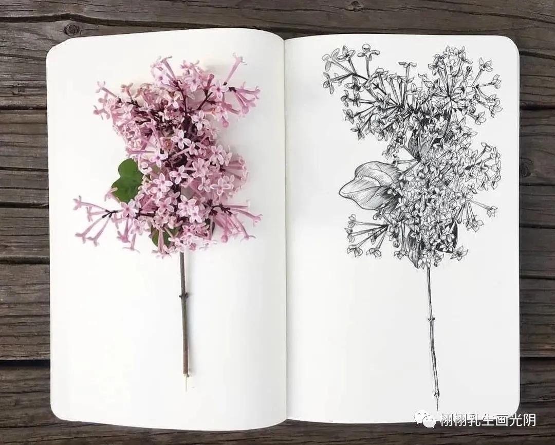 乳腺结节有钙化点怎么回事,乳腺钼靶显示有散在钙化点