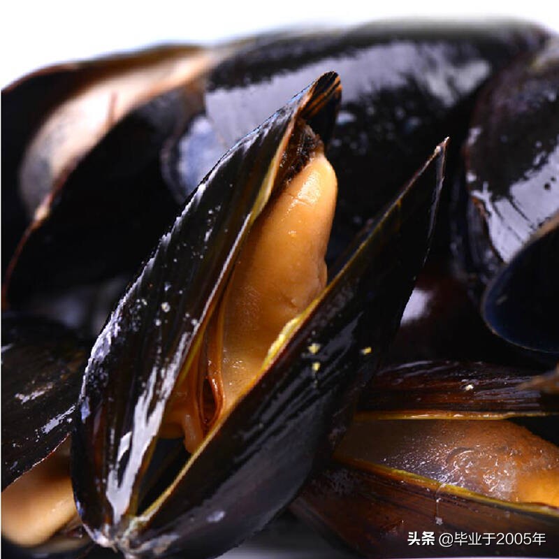 大连海鲜吃货,大连海鲜的种类