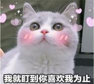 宋福泽跑山里养妖精当老师，花骨朵A：老师，狐狸尾巴你帮我塞好