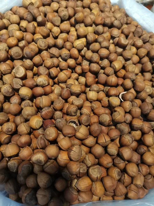 开口笑松子大颗粒,开口笑榛子和松子