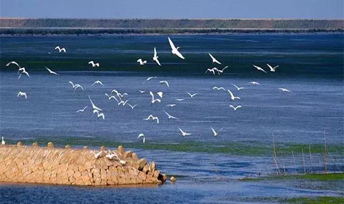 上海超全攻略,上海全天免费最值得去的旅游景点