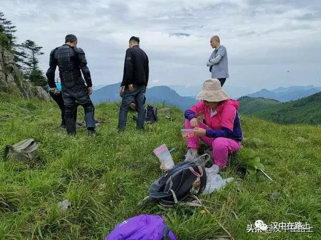 探秘汉中,汉中一村子窜入野生羚牛