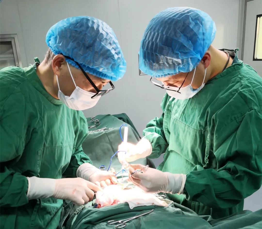 医共体对口帮扶基层卫生院,仪征市刘集镇卫生院