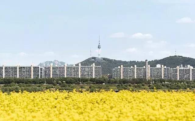 手机修剪照片软件哪个好用,手机修剪照片的软件