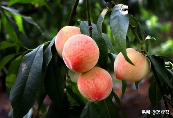 女性阴盛都有哪些表现,女人滋阴养阴吃什么好