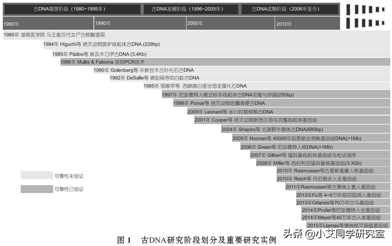 世界上要怎样才能重新复活恐龙,用琥珀复活恐龙动画