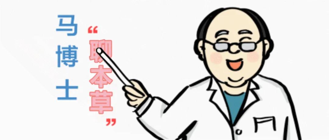 【马博士聊本草】女科要药（二）：当归的故事——炮制