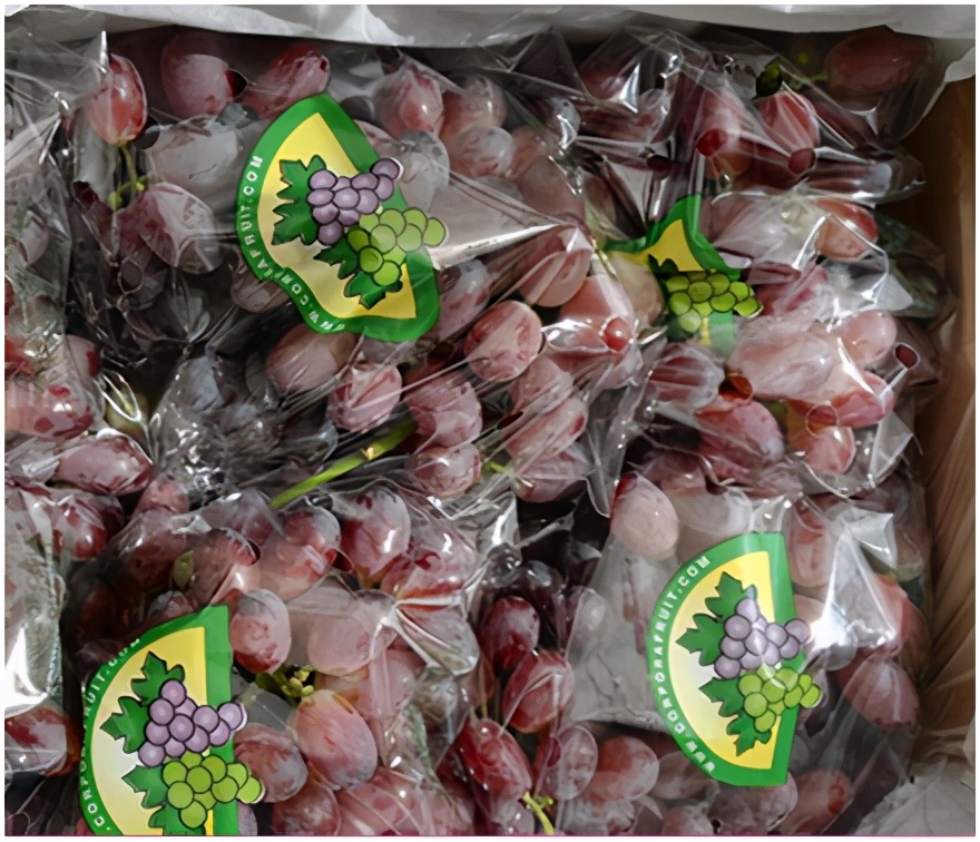 提子品种和介绍 (提子的品种都有哪些)