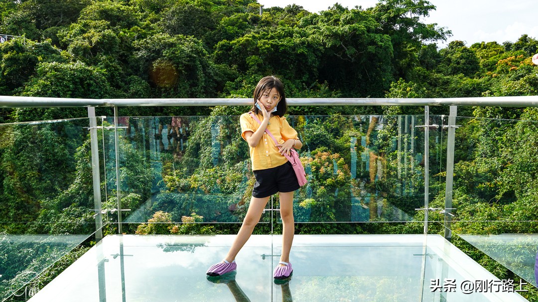 三亚酒店推荐性价比高海边附近,三亚住宿攻略海景酒店五天四晚