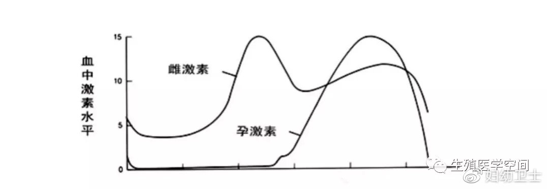 女人比同龄女人老什么原因,女人长得比实际年龄年轻