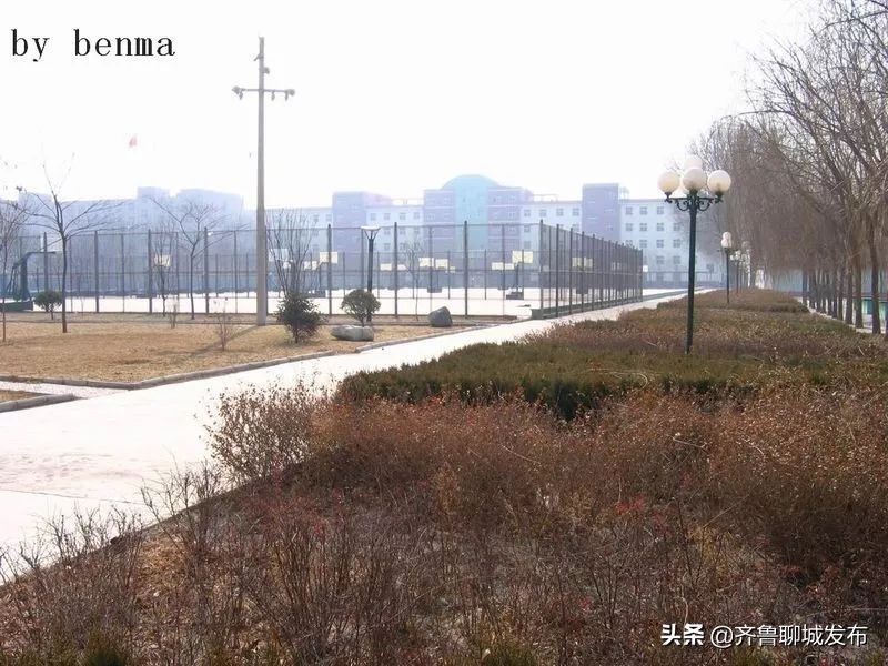 聊城二中历史,十年印象阿布