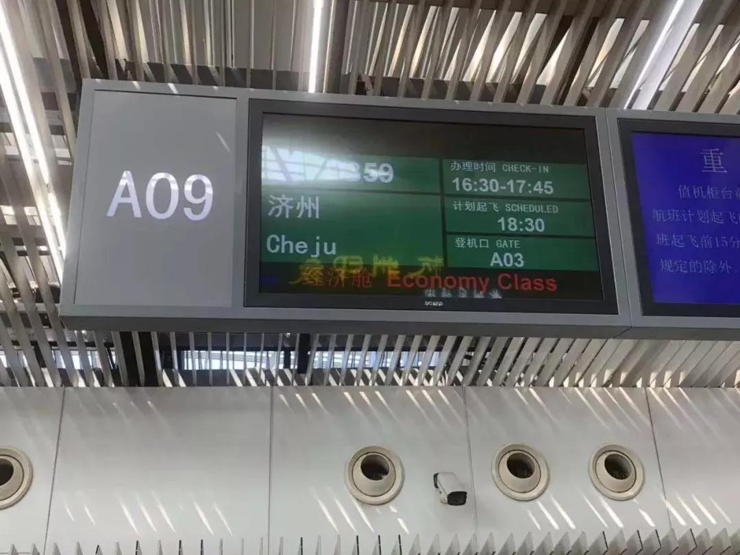 济州岛自由行详细攻略,济州岛自由行超实用攻略