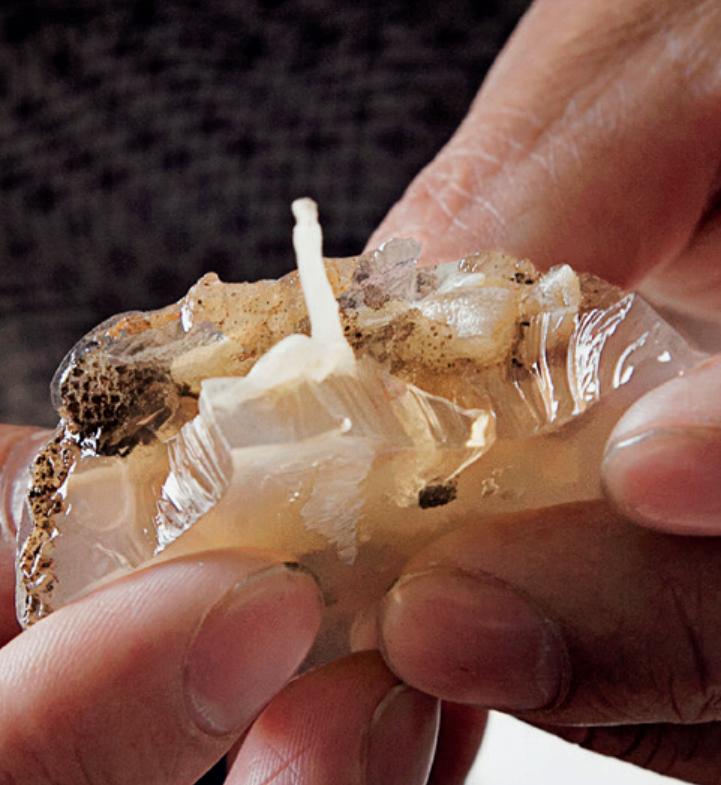 土笋冻出乎意料的好吃,最具福建特色的土笋冻