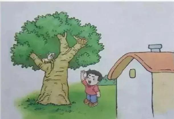 一年级下册13页看图写话春天来了,一年级看图写话100篇帮妈妈做家务