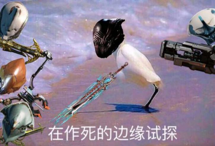 《warframe》——开局一只鼠，装备全靠肝