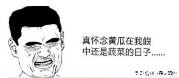 一次失败小型餐饮加盟经历,加盟餐饮真的是坑吗求大神指点