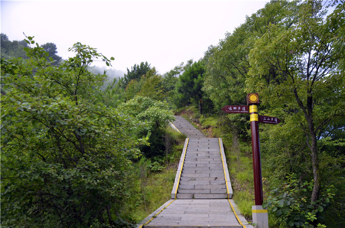 秦岭仙境镇安塔云山,秦岭第一仙山景区