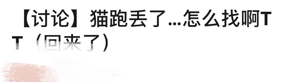 猫跑丢了怎么找回来,猫跑丢了怎么能把它呼唤回来