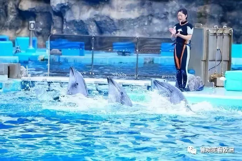 日本名古屋在哪个位置,日本名古屋旅游详细攻略