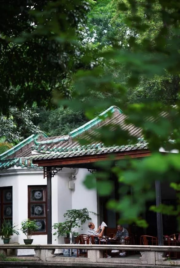 广东人最喜欢滋补养生为什么,广东人吃什么最补身子