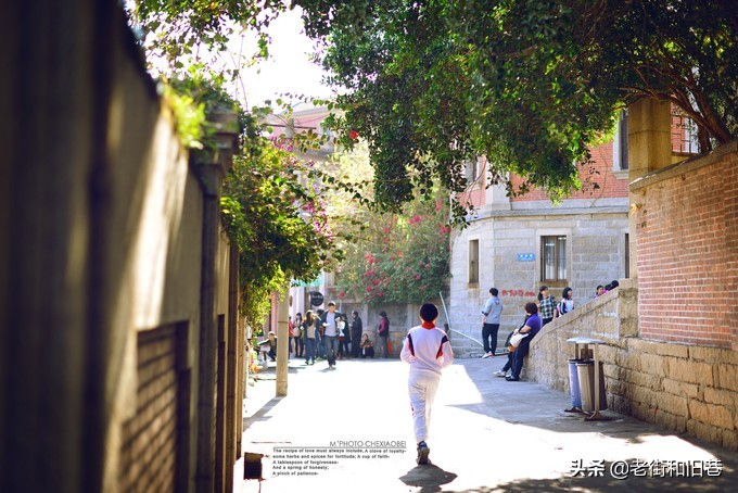 四天玩遍厦门,四天畅游厦门