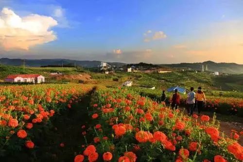 昆明五一周边旅游推荐,昆明周边五一好去处