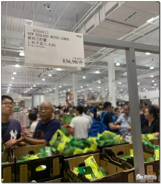 costco上海火爆视频,costco为什么这么火